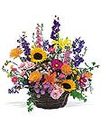 St. Augustine Florist