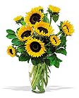 Flowers from your St. Augustine Florist