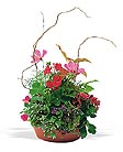 A Saint Augustine Florida florist
