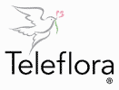 Teleflora Florist St. Augustine Florida