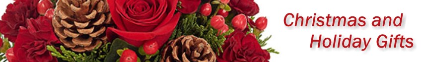 Christmas flowers and Gifts for the holidays delivered in St. Augustine