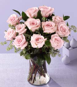 12 Blush Pink Roses