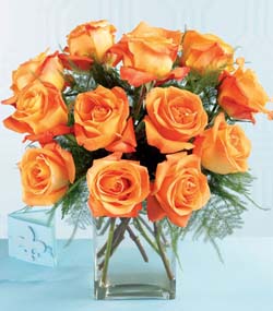 12 Orange Peach Roses